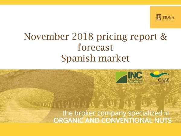 November 2018 Spanish market report