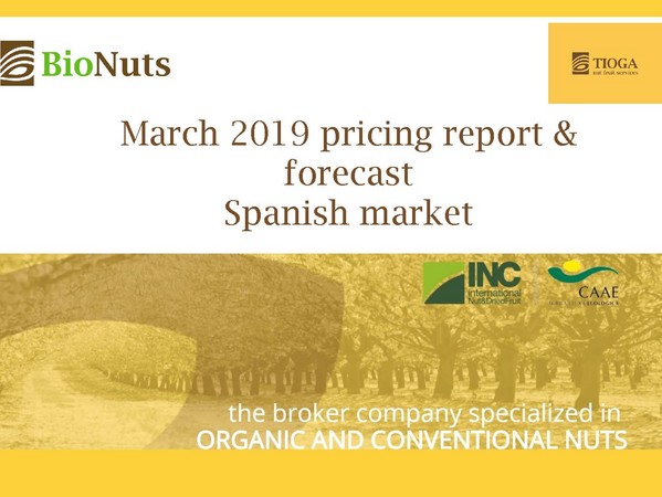 March 2019 Spanish market report