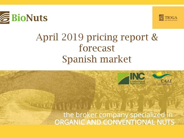 April 2019 Spanish market report