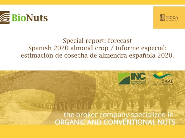 Breaking news: 2020 Spanish almond crop estimation AEOFRUSE and DESCALMENDRA