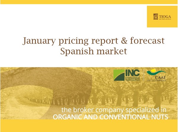 January 2017 Spanish market report